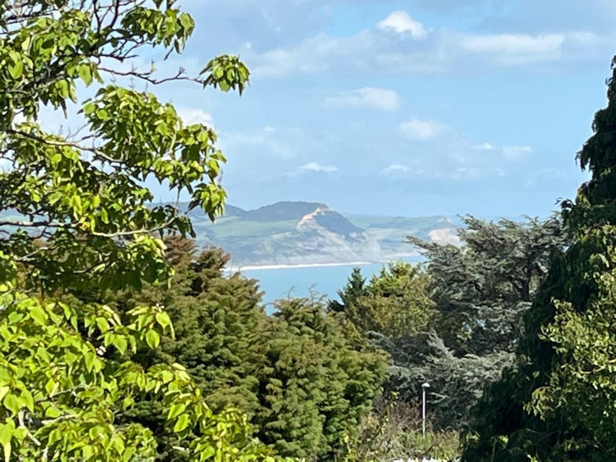 Cobblers Lodge Lyme Regis Bagian luar foto